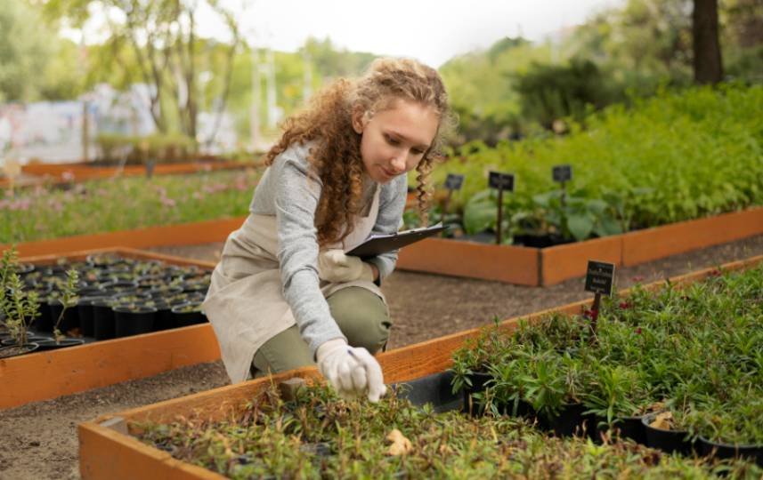 Companion Planting in Containers and Raised Beds