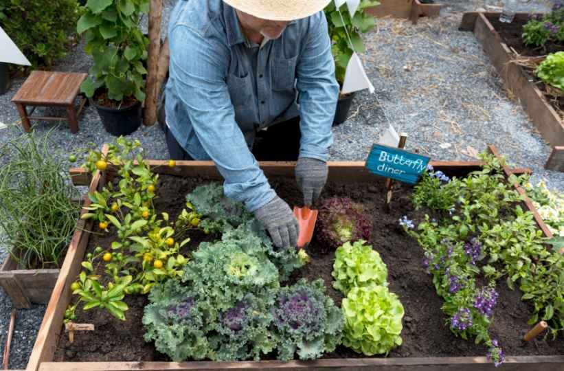 Reliable Herb and Vegetable Pairings
