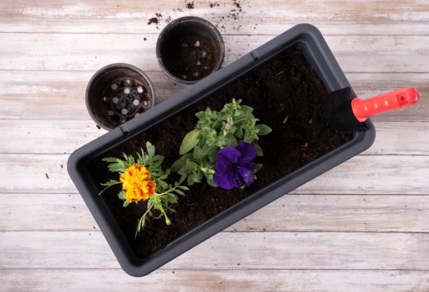 Best Soil Mix for Growing Herbs in Pots: Simple Recipe