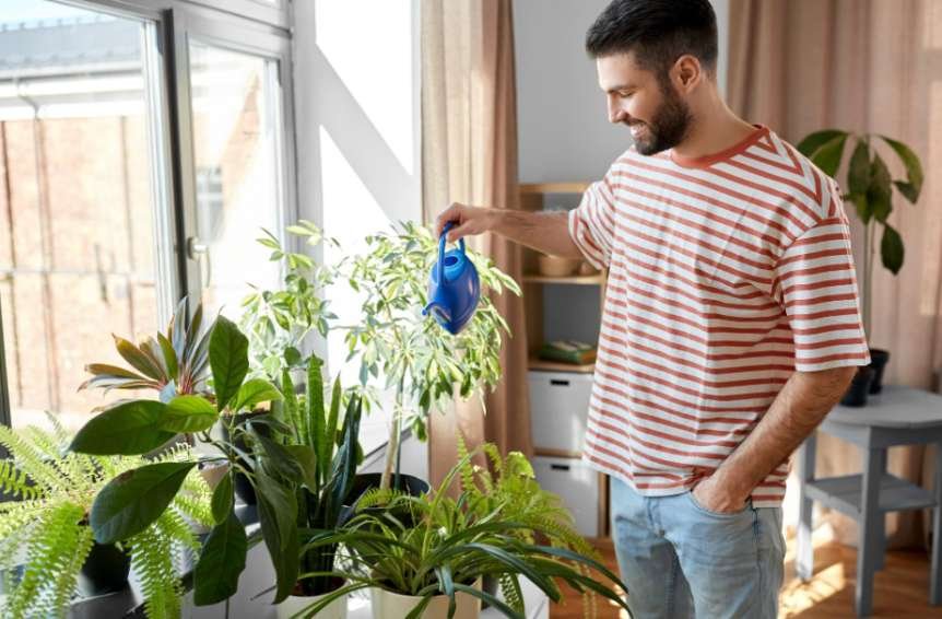 How Pots Affect Watering Frequency