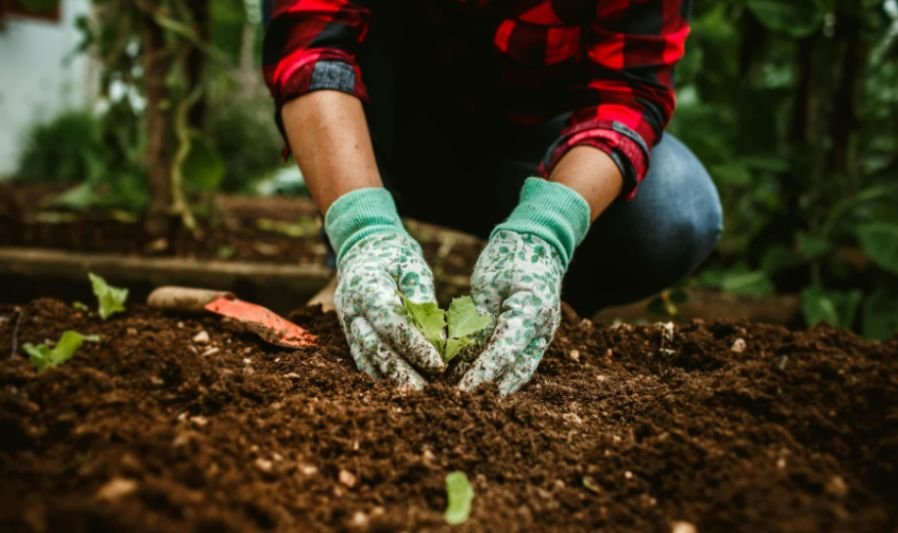 How To Prepare Compacted Soil For Planting