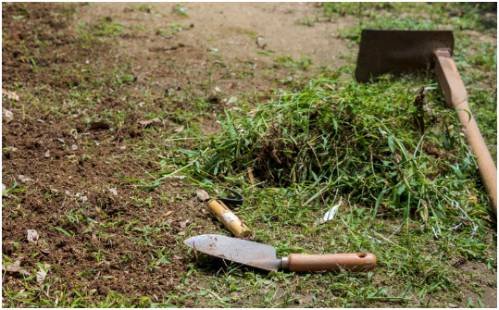 Disturb the Soil as Little as Possible
