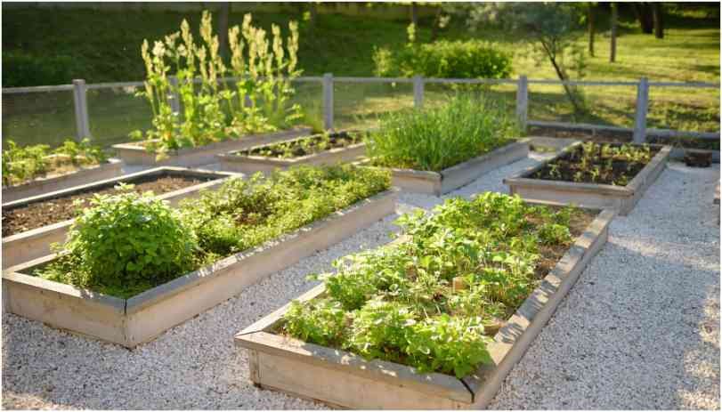 Best Way to Water Raised Garden Beds Without Waste