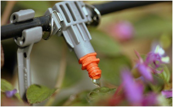 How to Install Drip Irrigation in a Raised Bed