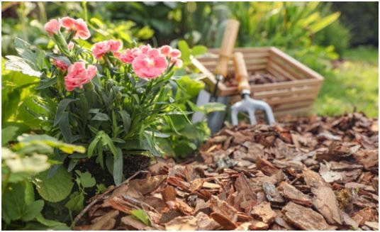 How to Start a No-Dig Garden Bed Over Grass