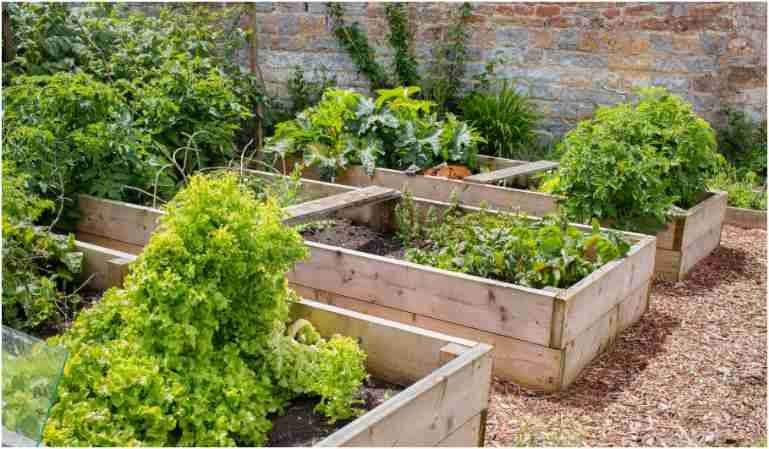 How to Fix Poor Drainage in a Garden Bed Properly