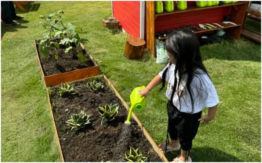 How to Fix Poor Drainage in a Garden Bed