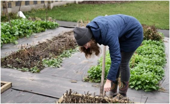 Raise a Low-Lying Garden Bed