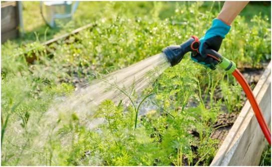 Redirect Water From Severely Saturated Beds