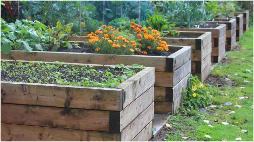 How Deep Should Soil Be in a Raised Garden Bed?