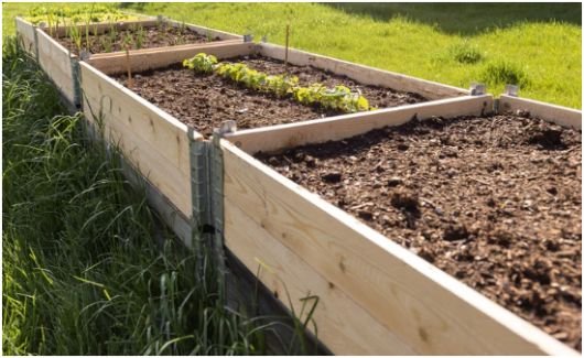 Soil Depth Requirements by Plant Type