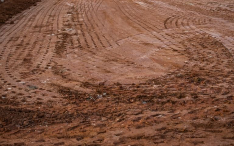 Step-by-Step: How To Prepare Compacted Soil For Planting