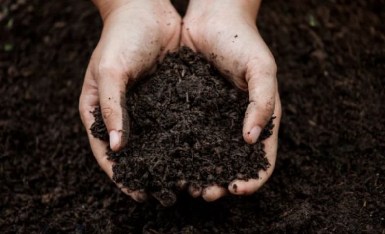Test Your Soil Before You Start