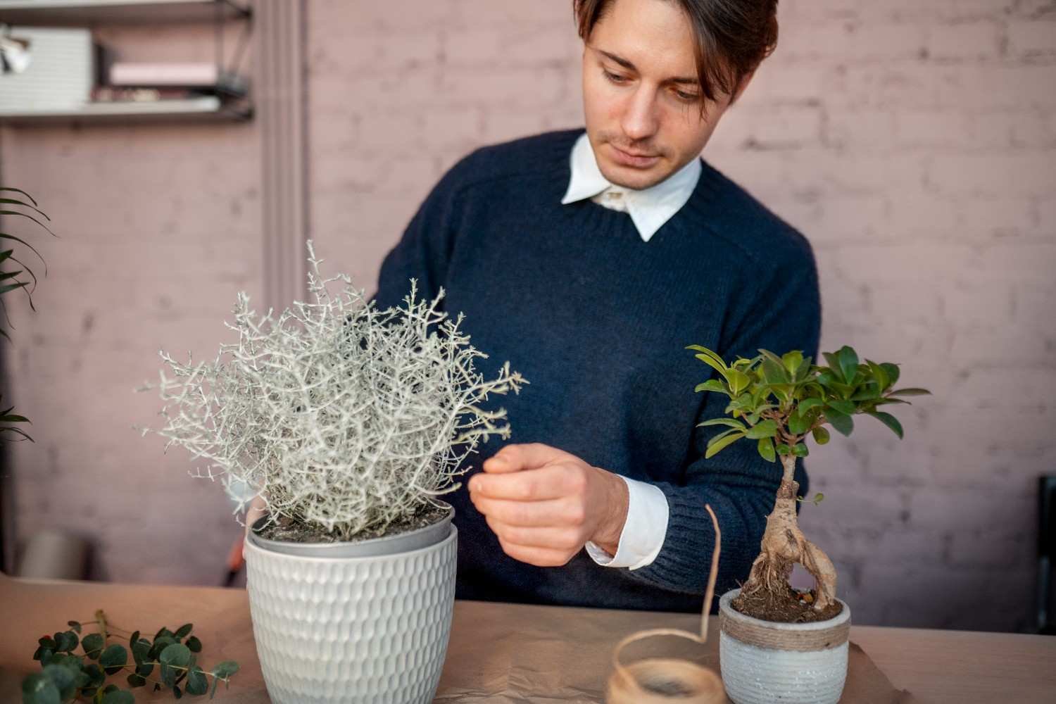 Should You Fertilize Indoor Plants in Winter? Check These Signs First