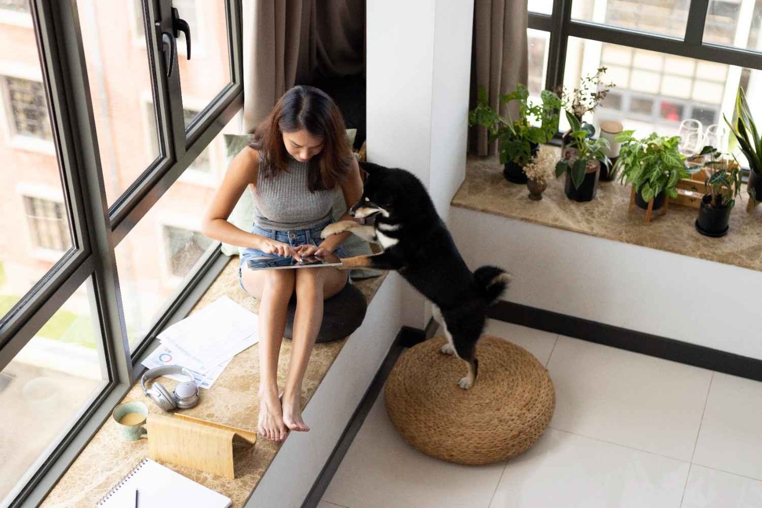No Sun, No Problem: Best Houseplants for Apartments With North-Facing Windows