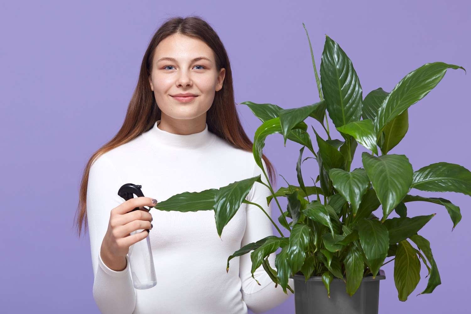 Treat Neem Oil as a Pesticide Product