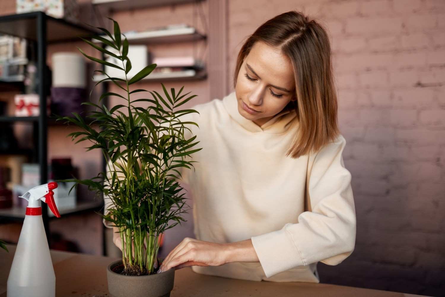 How Can You Tell If a Houseplant Needs Winter Fertilizer?