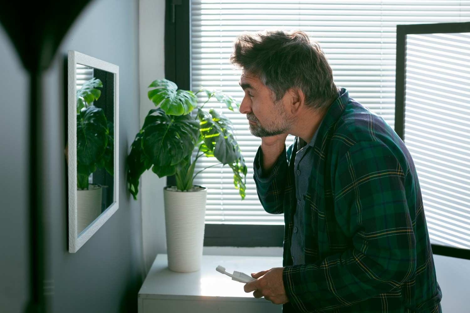 ZZ Plant