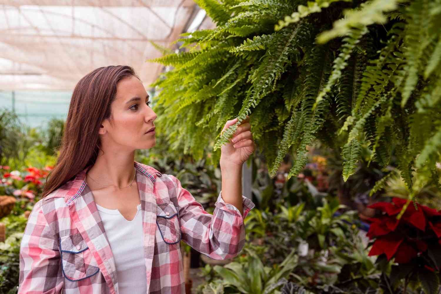 Check the Roots and Potting Soil