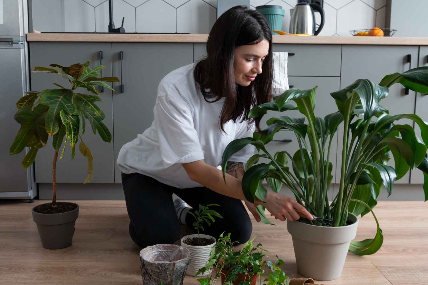 Does Winter Leaf Yellowing Mean a Plant Needs Fertilizer?